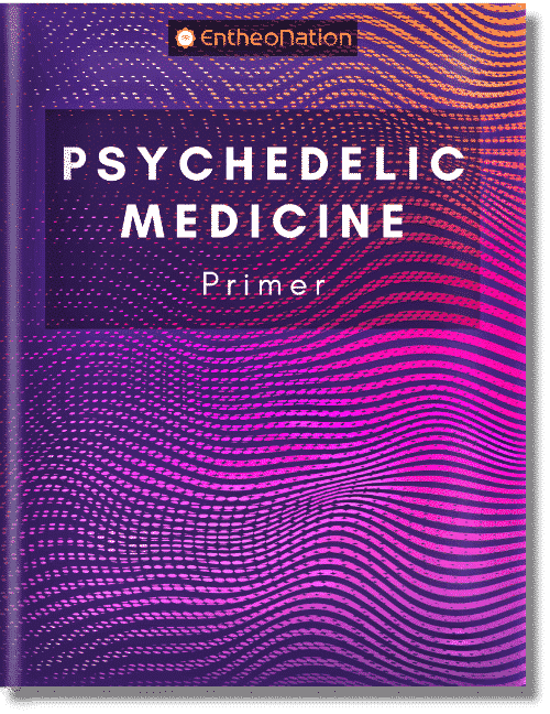 Psychedelic Medicine Primer eBook Cover