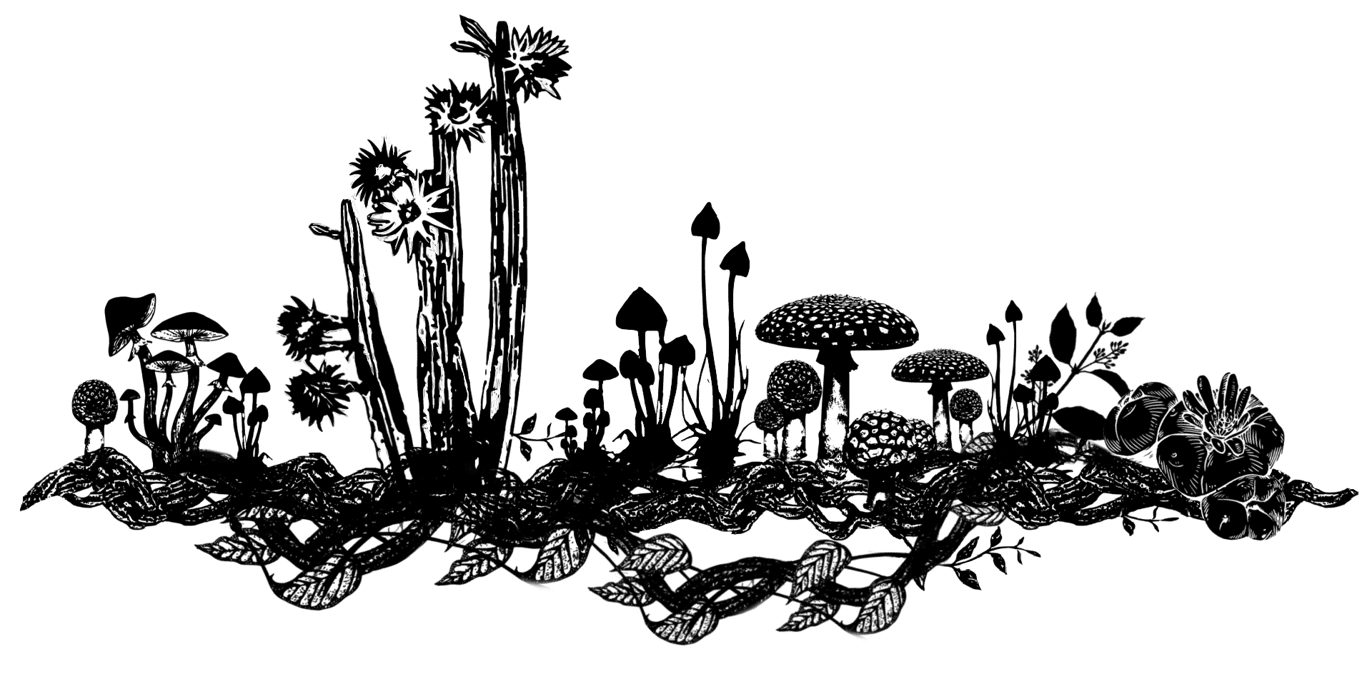 01da1bc5021284df81c85c9262d8b936