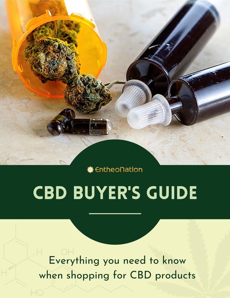 CBD Buyer's Guide