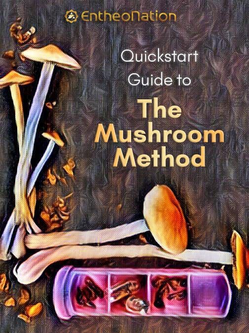 Quickstart Guide to the mushroom method