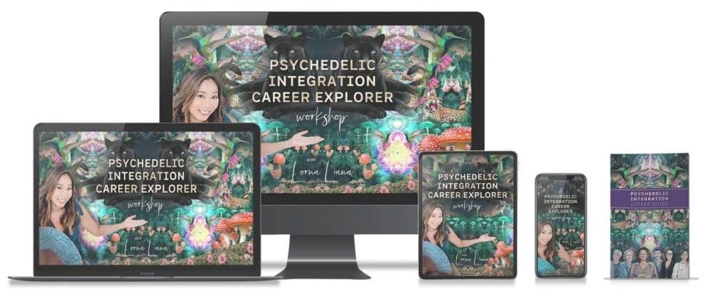 Get the Psychedelic Integration Career Explorer Workshop