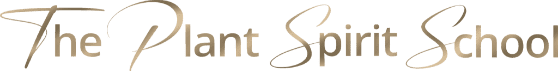 TPSS-LOGO-gold-shine-dark